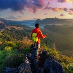 Sumber : Freepik