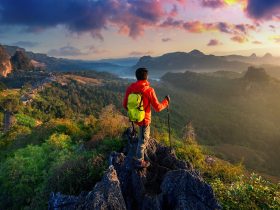 Sumber : Freepik