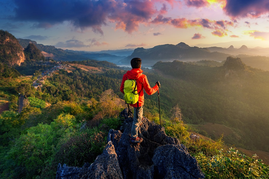 Sumber : Freepik